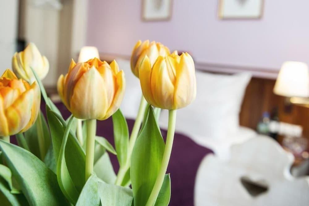 Hotel Elch Boutique Nuremberg Extérieur photo